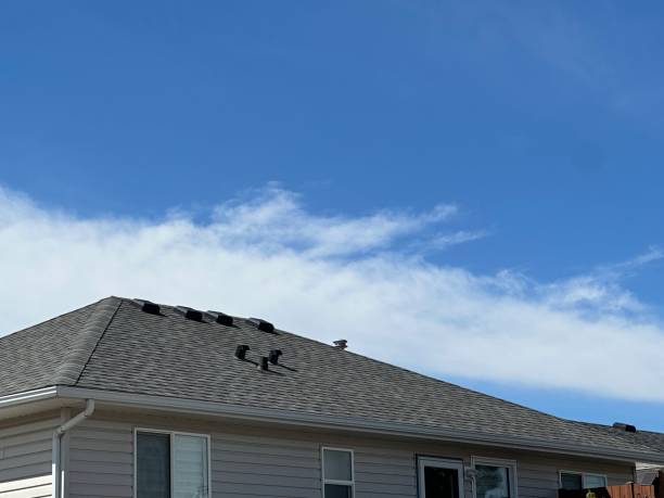 Roof Insulation Installation in Greenwood, SC